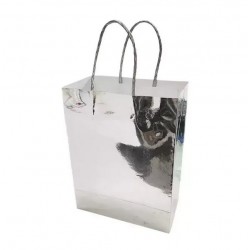 Paper Gift Bag - Silver, 4 pcs