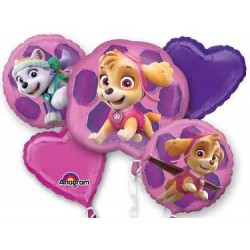 Paw Patrol Skye & Everest Balloon Bouquet of 5 (with weight)