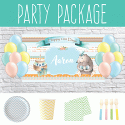 Party Package - Boho Bear Baby