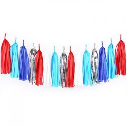 Tassel Garland - Silver Red Blue