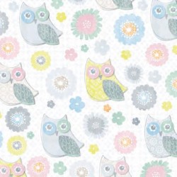 Multicolor Owls Napkin - 33 x 33cm, 20pcs   