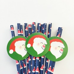 Paper Straw with Tags - Santa Claus, 25pcs