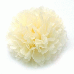 Tissue Pom Pom - Ivory