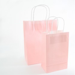 Paper Gift Bag - Pink, 10 pcs